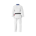 Bjj-Gis - Image 2